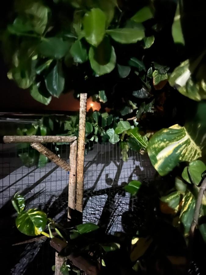 Vila Dos Gnomos Paraiso Mistico Pe Na Areia Ilhéus Buitenkant foto